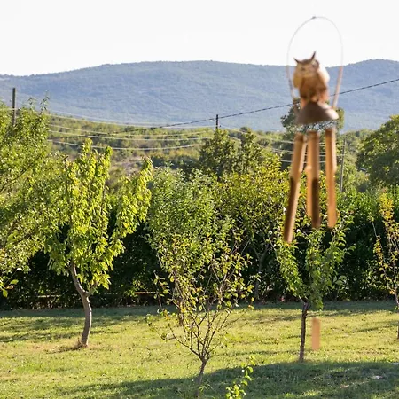 Family Friendly House With A Swimming Pool Lecevica, Zagora - 21676 Holiday home Lecevica